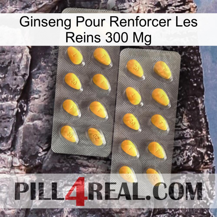 Ginseng For Reinforcing Kidney 300 Mg cialis2